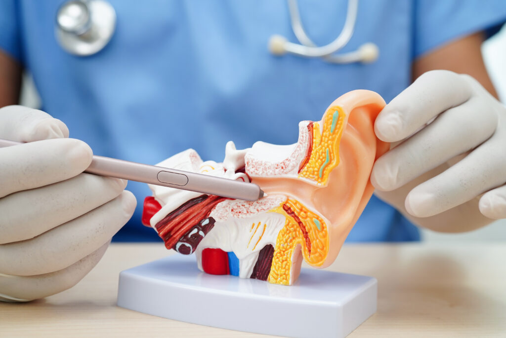ENT Specialist in Doha