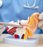 ENT Surgery Hospital Doha