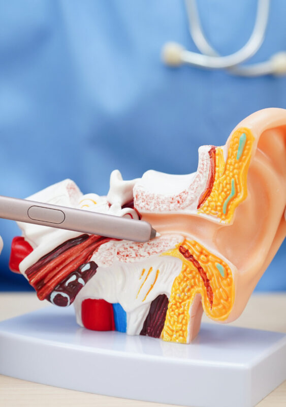 ENT Surgery Hospital Doha