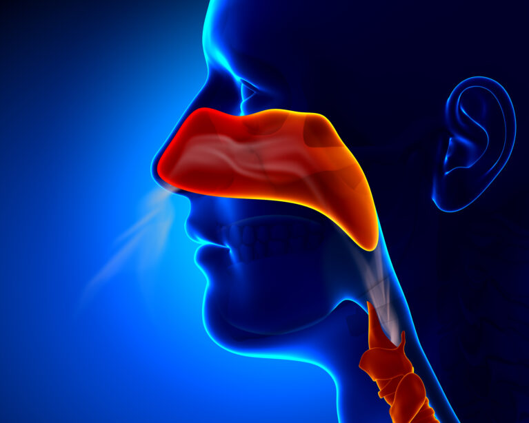 Are Allergies Related to Sinus Problems? | ENT Care in Qatar