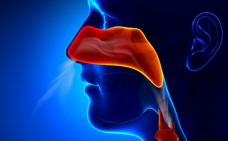 Are Allergies Related to Sinus Problems? | ENT Care in Qatar