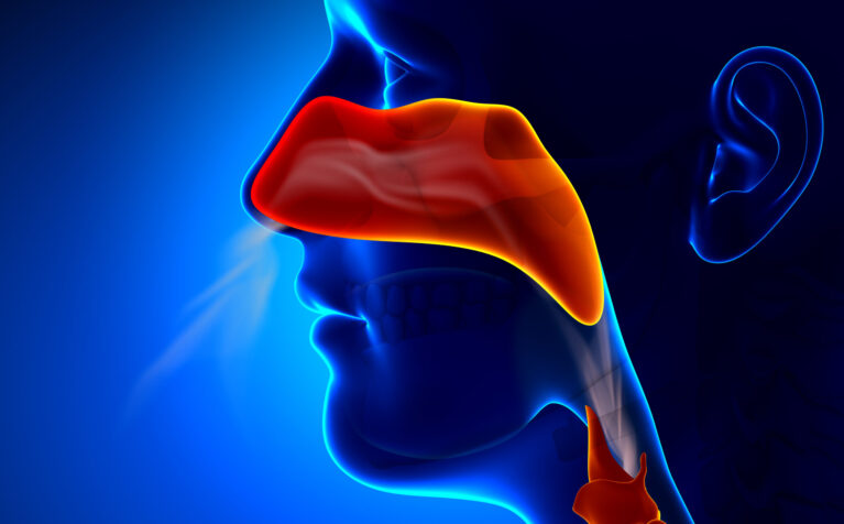 Are Allergies Related to Sinus Problems? | ENT Care in Qatar