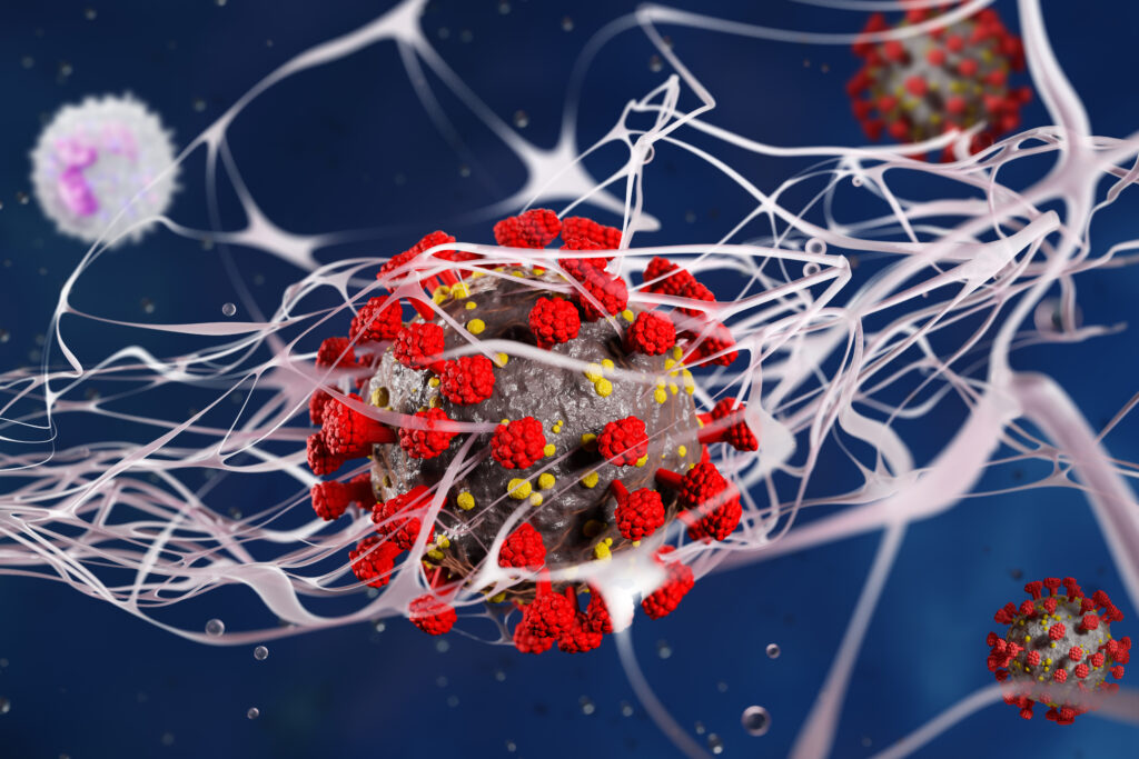 cholesterol screening under 40 Qatar