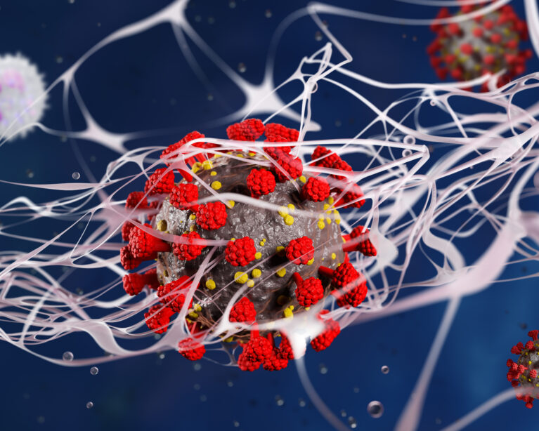 cholesterol screening under 40 Qatar