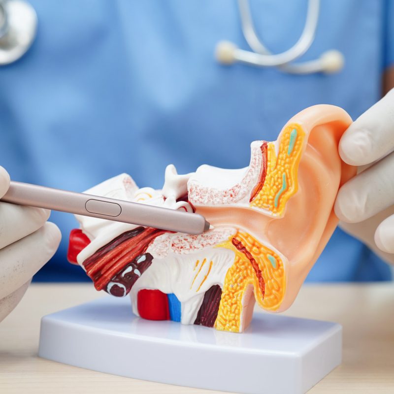 ENT Surgery Hospital Doha